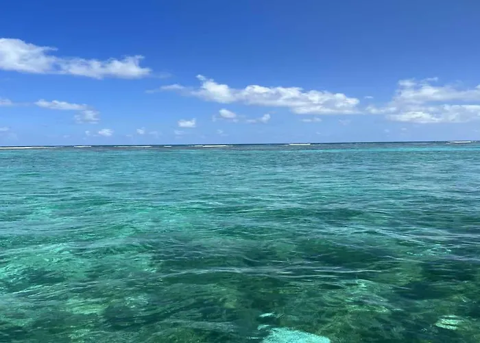 Residences At Barrier Reef 8c Oceanview 2 Bedroom By Floreo San Pedro (Ambergris Caye)