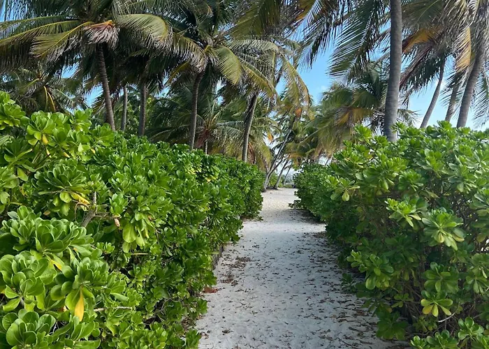 Residences At Barrier Reef 8c Oceanview 2 Bedroom By Floreo Holiday home San Pedro (Ambergris Caye)