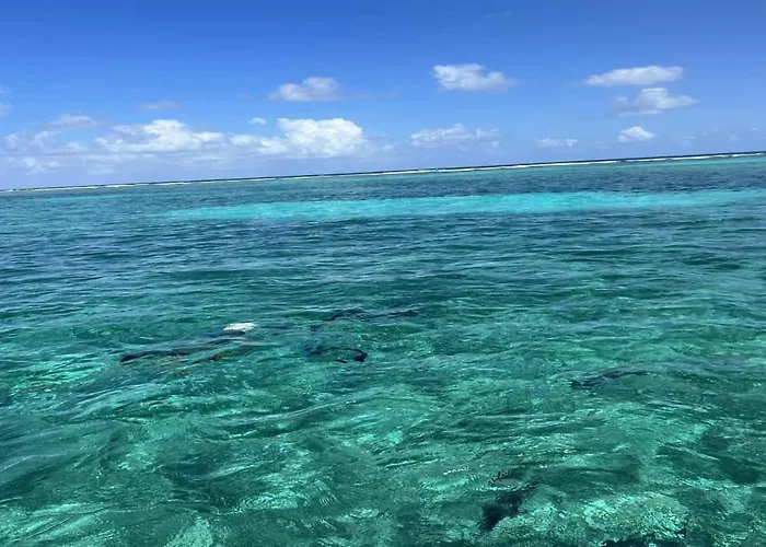 Residences At Barrier Reef 8c Oceanview 2 Bedroom By Floreo Holiday home